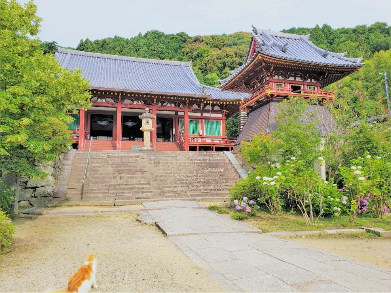 奈良県大和郡山市 矢田寺 本堂