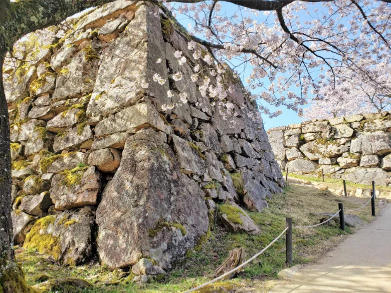 兵庫県朝来市 竹田城