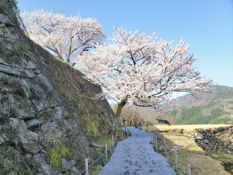 兵庫県朝来市 竹田城