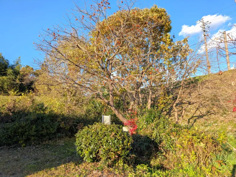 京都府木津川市 安福寺