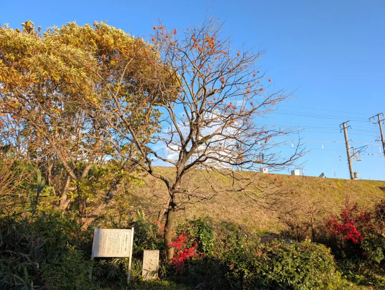 京都府木津川市 安福寺