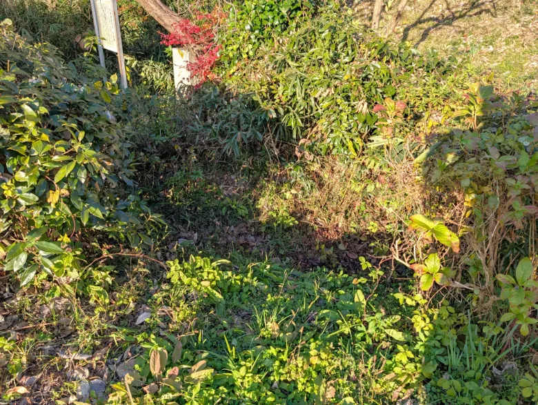 京都府木津川市 安福寺