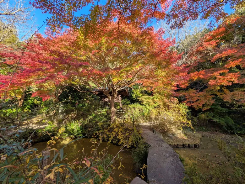 奈良県奈良市 不退寺 紅葉