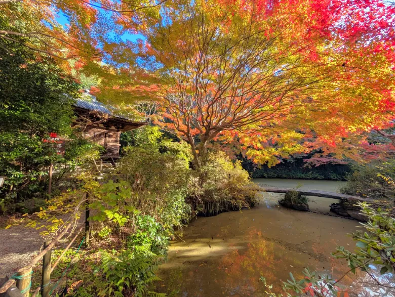 奈良県奈良市 不退寺 紅葉