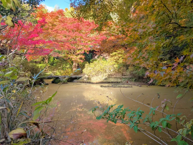 奈良県奈良市 不退寺 紅葉