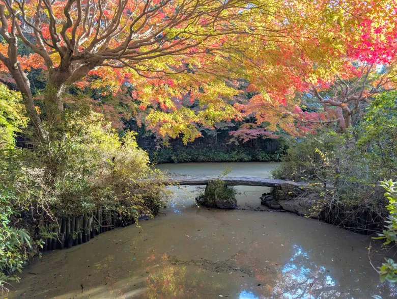 奈良県奈良市 不退寺 紅葉