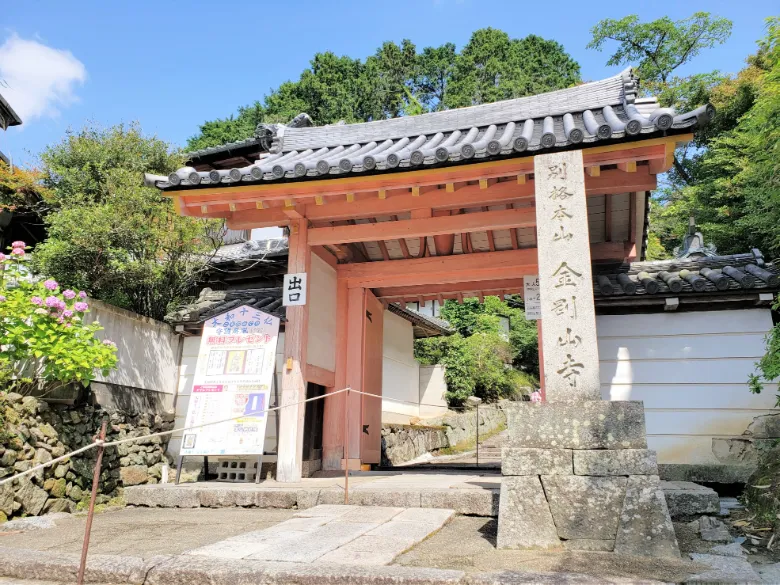 奈良県大和郡山市 矢田寺 アジサイ