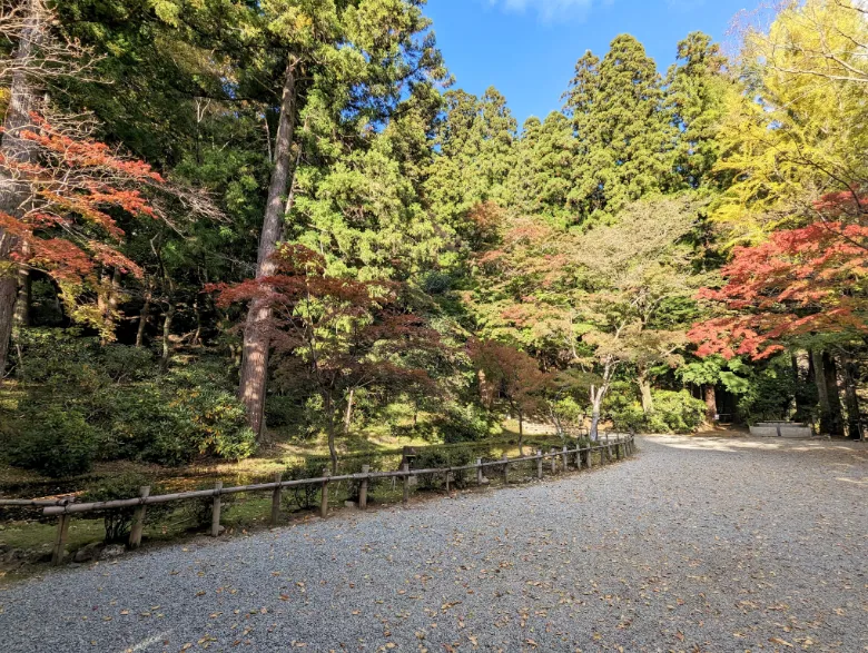 奈良県宇陀市 室生寺