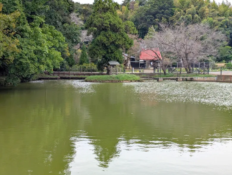 千葉県印西市 結縁寺 結縁寺池