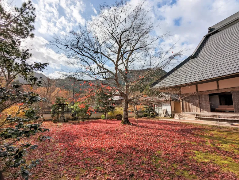 兵庫県丹波市 三寶寺 紅葉