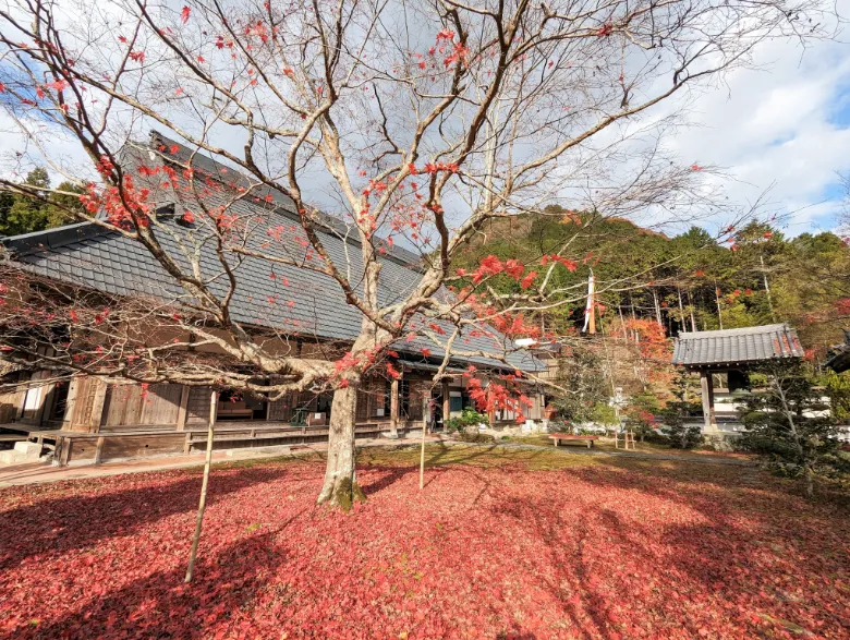 兵庫県丹波市 三寶寺 紅葉