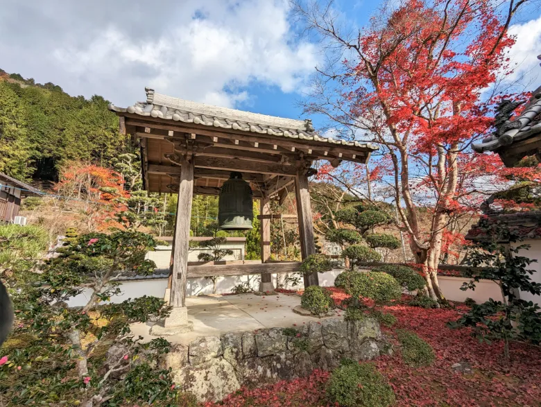 兵庫県丹波市 三寶寺 紅葉