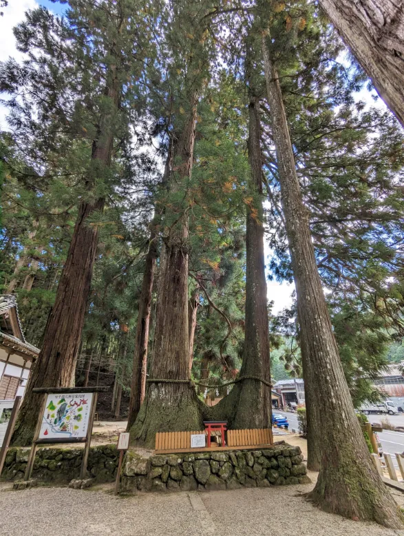 奈良県宇陀市 室生龍穴神社