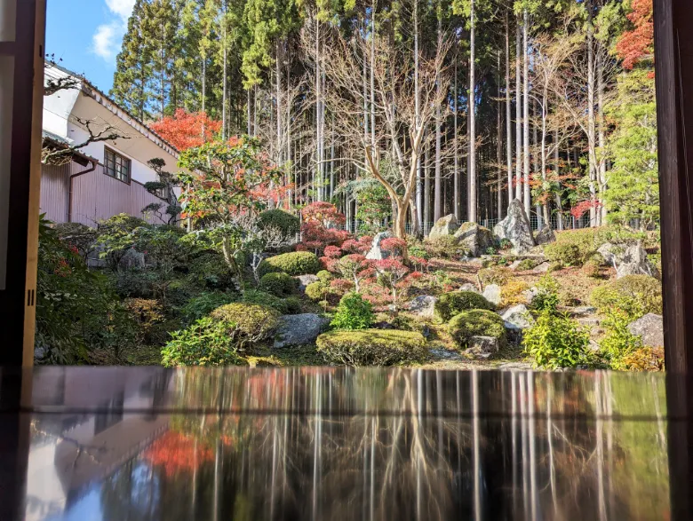 兵庫県丹波市 三寶寺 紅葉