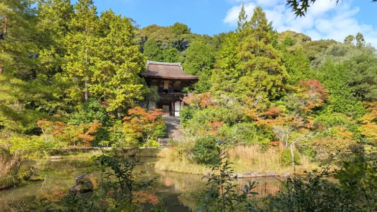 奈良県奈良市 円成寺 浄土庭園