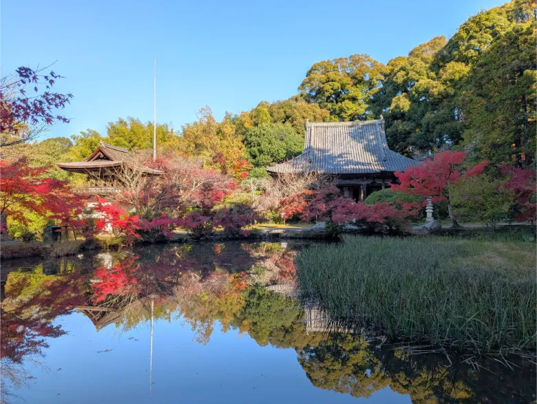 奈良県天理市 長岳寺 紅葉