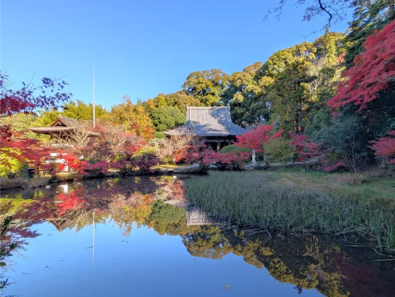 奈良県天理市 長岳寺 紅葉