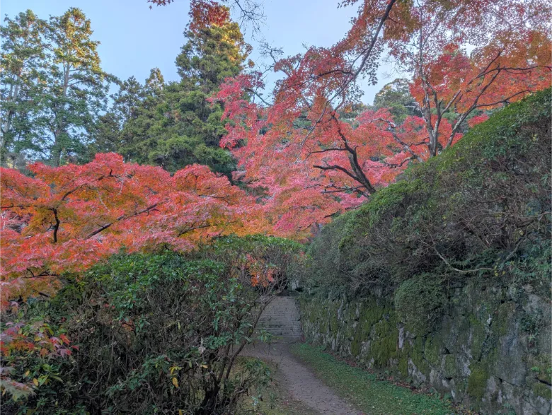 奈良県天理市 長岳寺 紅葉