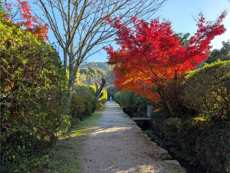 奈良県天理市 長岳寺 紅葉